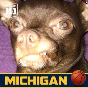 Meet your Posher, Dawn